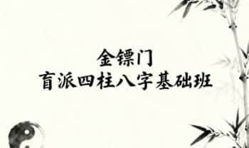 金镖门《盲派四柱八字基础班》视频22集
