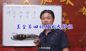 王金易《四柱预测（大师班）》视频课38集