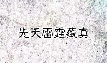 《先天雷霆藏真》君战雷章 朱砂讳字 上下2册合并完整版，350余页.PDF电子版