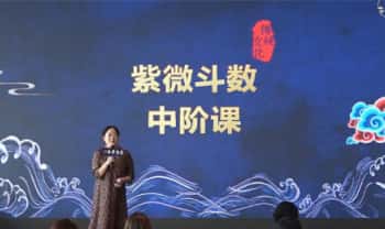 黎荔《紫微心学中阶课》视频课13集