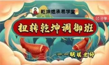 明琪老师《数字易经·扭转乾坤调御班》视频课40集