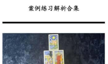 L俪夏summe《塔罗案例解析合集》204页.PDF电子版