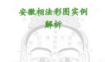 《安徽相法彩图实例解析》3本.PDF电子版