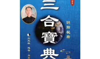 王玉柱《三合宝典》阴阳秘籍 225页.PDF电子版