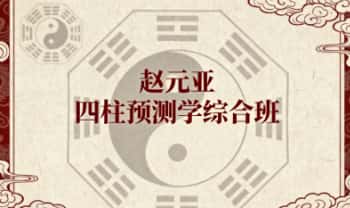 赵元亚：2024年《四柱预测学综合班》视频课30集