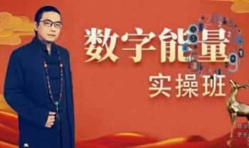 道谷书院 慧子申《数字能量实操班》视频课20集