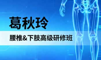 葛秋玲《腰椎下肢高级研修班》线下 84讲视频课
