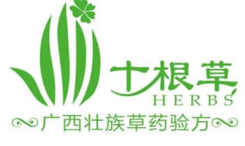 广西壮族草药验方《十根草》生发内部药方.PDF电子文档