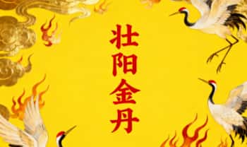 《壮阳金丹救命丸》绝密方