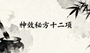《神效秘方十二项》PDF电子文档