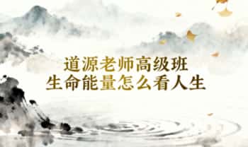 道源老师2025年最新《高级班生命能量怎么看人生》视频课29集