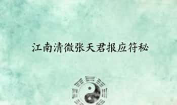 《江南清微张天君报应符秘》20页.PDF电子版