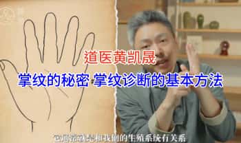 道医黄凯晟《掌纹的秘密 掌纹诊断的基本方法》视频20集