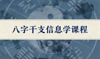 《八字干支信息学课程》视频课33集
