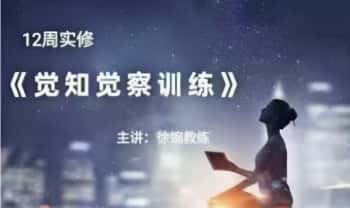 徐婉12周实修《觉察觉知训练》音频+视频22集