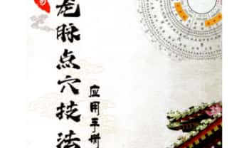 《周易龙脉点穴技法应用手册》内部资料506页.PDF电子版