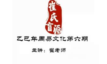 崔文举《盲派八字高级班乙已年第六期》教学视频20集