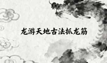 明心《龙游天地古法抓龙筋》40集视频