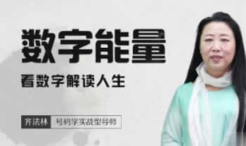 齐法林《号码天机数字能量学》视频课17集