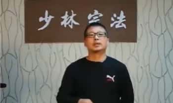 形意拳《万千印掌》视频教学14集