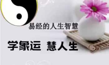 白欣月《象运人生 微信头像系列课》视频25集