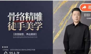 臣臣老师《YY骨络精雕面部-门店手法和操作》两套视频课 35集