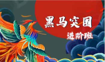 明棋《数字易经·黑马突围进阶班》视频课65集