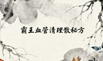 《霸王血管清理散秘方》PDF电子文档