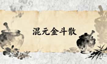 秘方《混元金斗散》主治 痰瘀凝结证 癌症 PDF电子文档