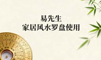 王进武传人易先生《家居风水罗盘使用》精华班 视频20集