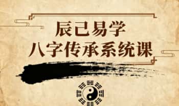 辰己易学《八字传承系统课》视频10集