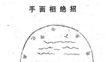 李树哲《手面相绝招大公开》65页.PDF电子版