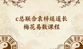 c总新课 联合袁梓廷道长《梅花易数》视频课77集