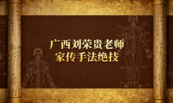 广西刘荣贵老师最新授课《家传手法绝技》53个手法视频