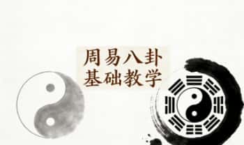 《周易八卦基础教学》视频课24集