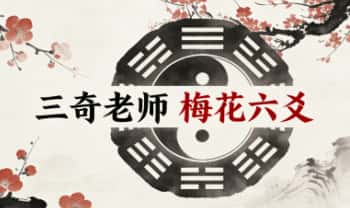 三奇老师《梅‮六花‬爻》教学视频15集