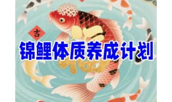 《幸运体‮养质‬成：锦鲤体质养成计划》视频24集