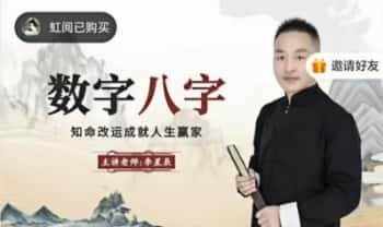 李星辰《数字八字》高阶班 视频课23集