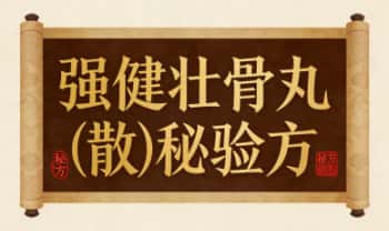 秘方《强健壮骨丸(散)秘验方》PDF电子文档
