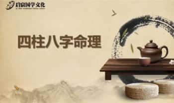 启宸《四柱八字大师班》视频课32集