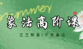 芝芝25年《象法高阶课》8集视频