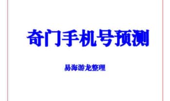 易海游龙《奇门手机号预测》92页.PDF电子版