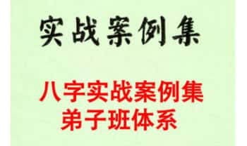 鹿鸣国学《八字实战案例集弟子班体系》240页.PDF电子版