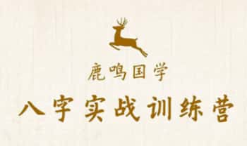 鹿鸣国学《八字实战训练营》视频课99集