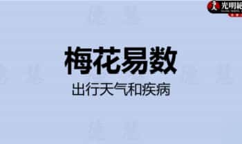 夏光明团队刘慧楠《梅花易数深度解密出行、天气、疾病笔记》 106页pdf电子版