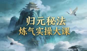 《归元秘法炼气实操大课》视频课19集