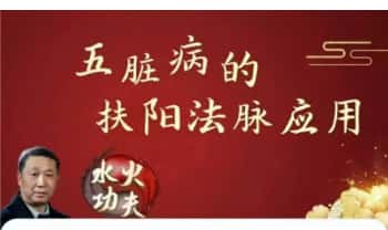 傅文录《五脏病的扶阳法脉应用》 全63讲音频课+视频课
