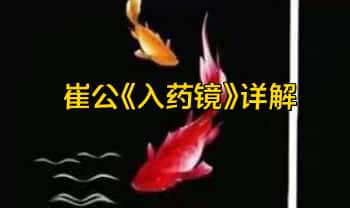 丹道好课：王敏铉【崔公《入药镜》】详解视频课5集