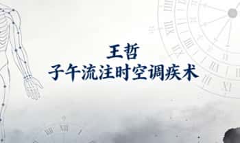 王哲《子午流注时空调疾术》理疗必学 视频23集