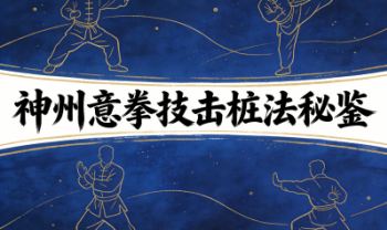 高臣老师《神州意拳技击桩法秘鉴》视频13集